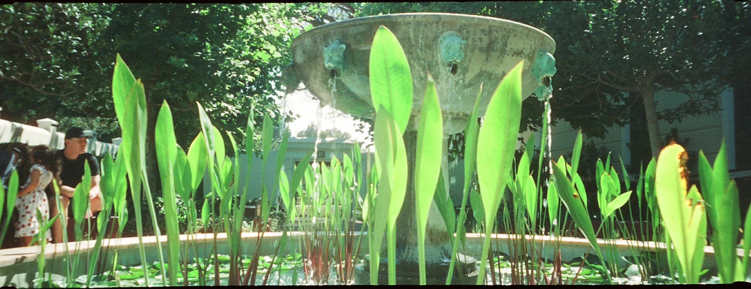 Nature rises
