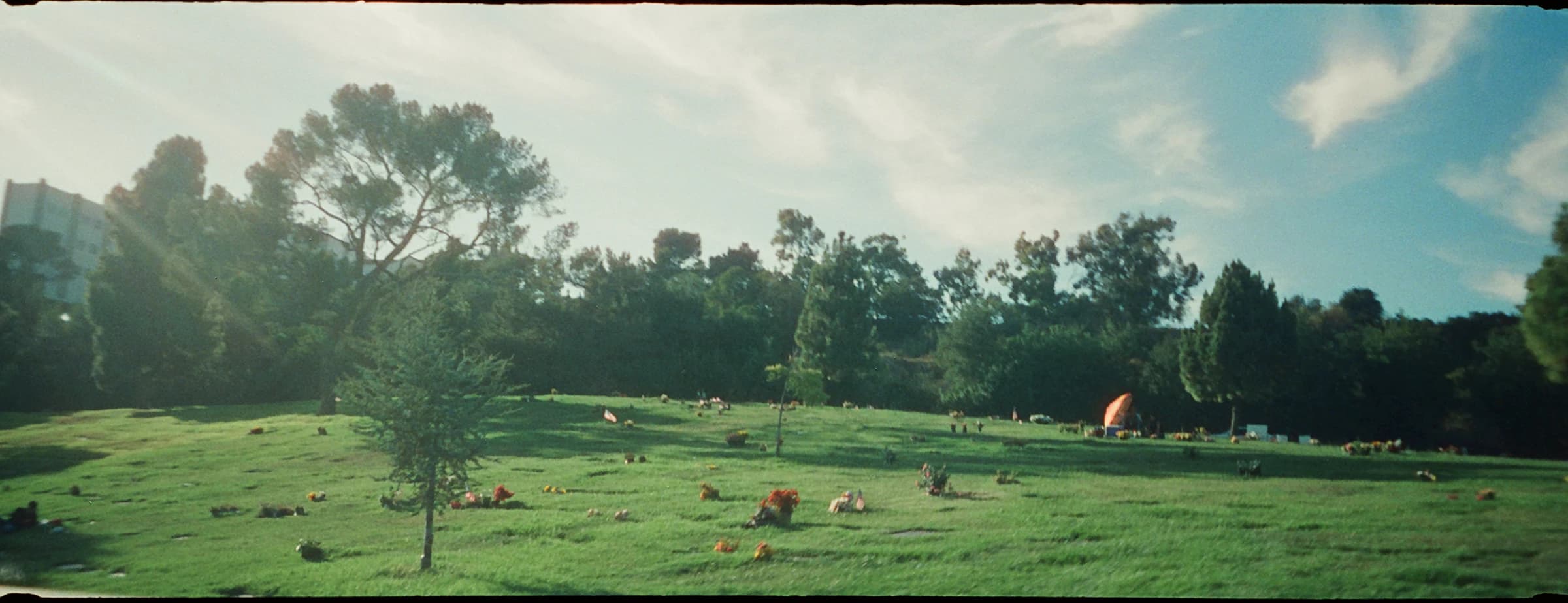 Cemetary Afternoon