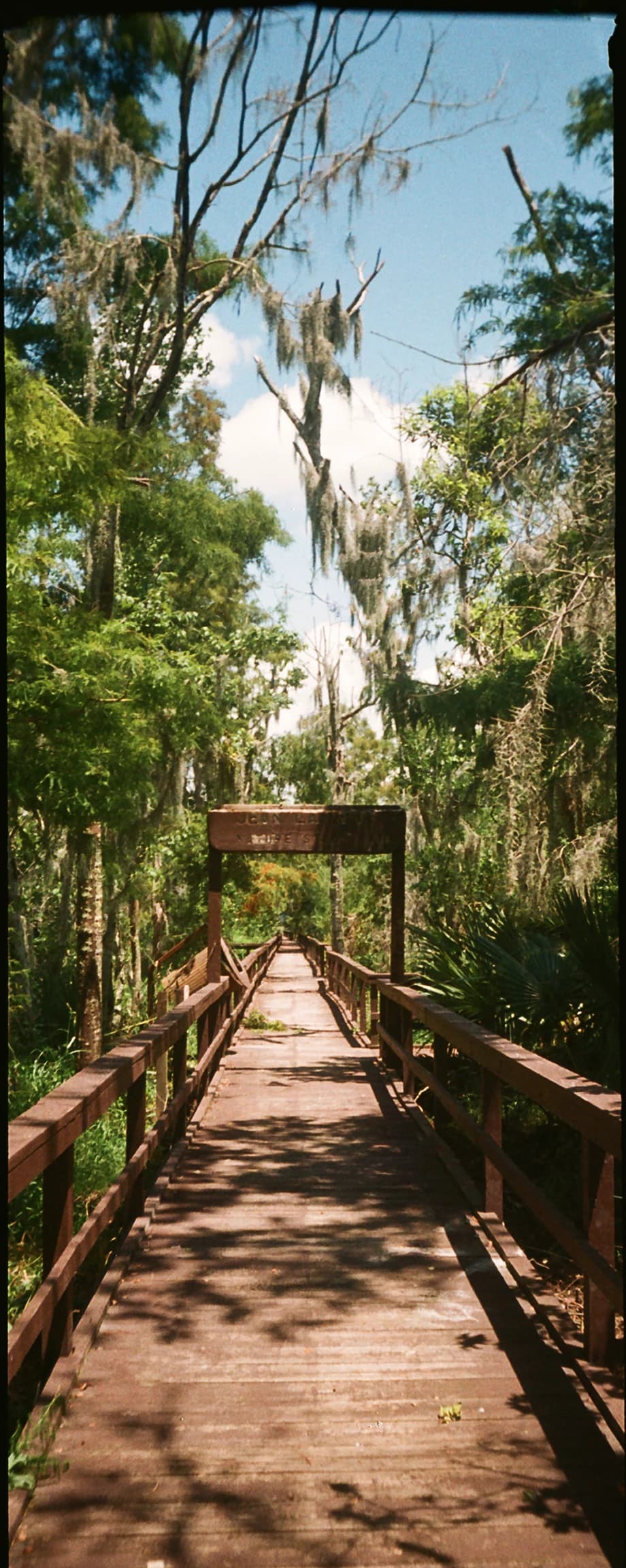 Path to Wild