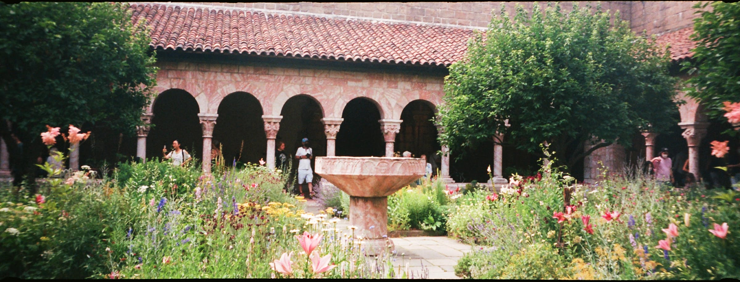 The Met Cloisters Garden